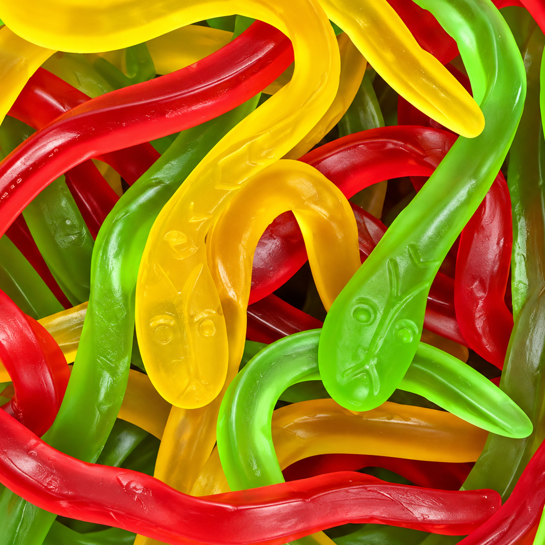 Viper Snakes