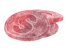 S-marke Sour Pomegrante & Raspberry